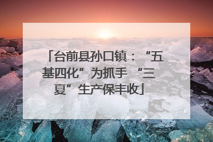 台前县孙口镇：“五基四化”为抓手 “三夏”生产保丰收