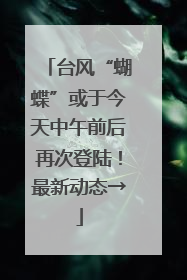 台风“蝴蝶”或于今天中午前后再次登陆！最新动态→