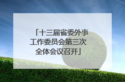 十三届省委外事工作委员会第三次全体会议召开