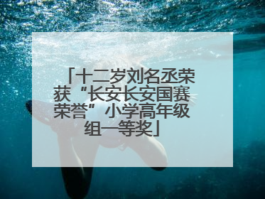 十二岁刘名丞荣获“长安长安国赛荣誉”小学高年级组一等奖