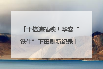 十倍速插秧！华容“铁牛”下田刷新纪录