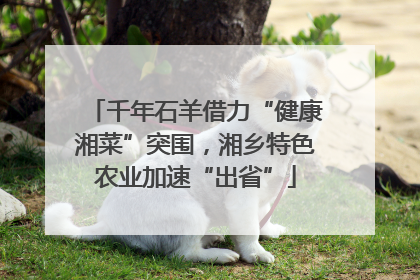 千年石羊借力“健康湘菜”突围，湘乡特色农业加速“出省”