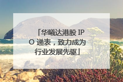 华曦达港股 IPO 递表，致力成为行业发展先驱
