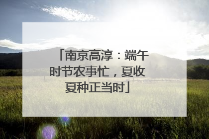 南京高淳：端午时节农事忙，夏收夏种正当时