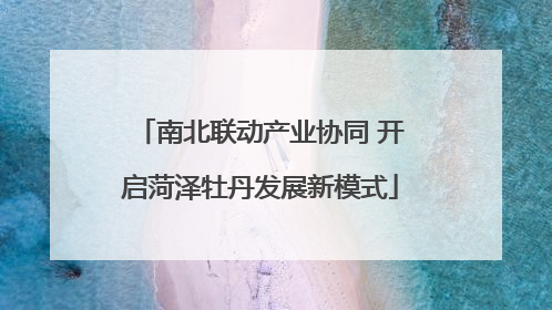 南北联动产业协同 开启菏泽牡丹发展新模式