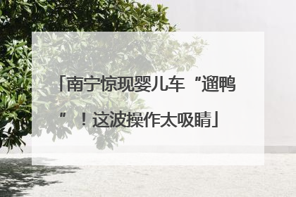 南宁惊现婴儿车“遛鸭”！这波操作太吸睛