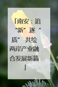 南安：追“新”逐“质” 共绘两岸产业融合发展新篇