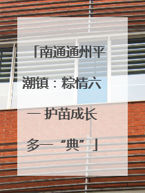 南通通州平潮镇：粽情六一 护苗成长多一“典”