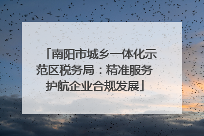 南阳市城乡一体化示范区税务局：精准服务护航企业合规发展