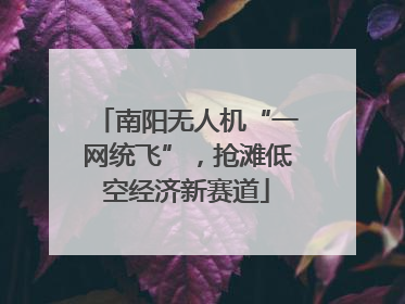南阳无人机“一网统飞”，抢滩低空经济新赛道