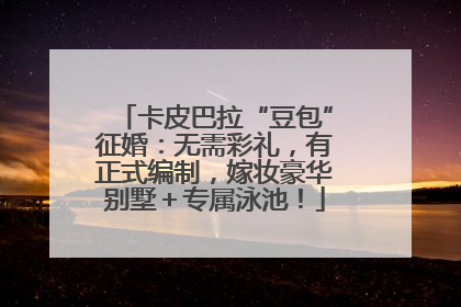 卡皮巴拉“豆包”征婚：无需彩礼，有正式编制，嫁妆豪华别墅＋专属泳池！