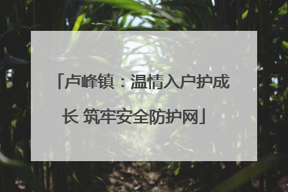 卢峰镇：温情入户护成长 筑牢安全防护网