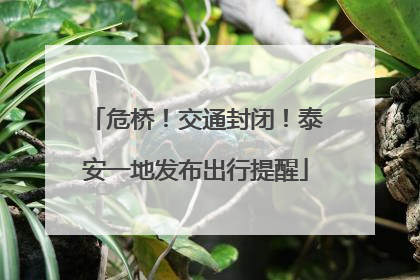 危桥！交通封闭！泰安一地发布出行提醒
