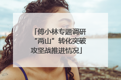 傅小林专题调研“两山”转化突破攻坚战推进情况