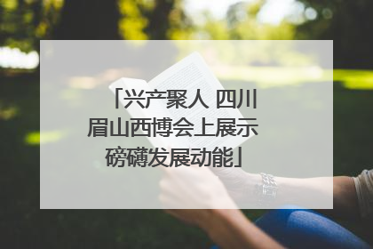 兴产聚人 四川眉山西博会上展示磅礴发展动能