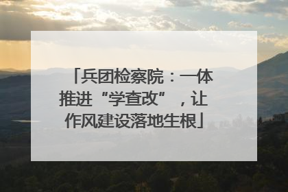 兵团检察院：一体推进“学查改”，让作风建设落地生根