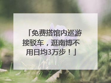 免费搭馆内巡游接驳车，逛南博不用日均3万步！