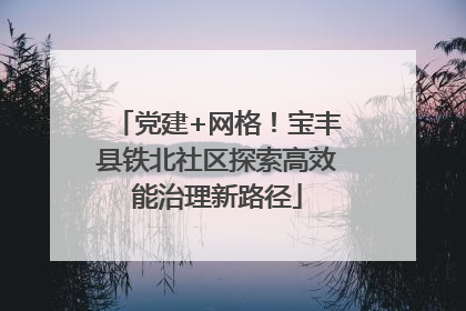 党建+网格！宝丰县铁北社区探索高效能治理新路径