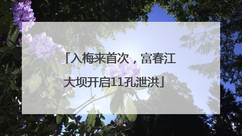 入梅来首次，富春江大坝开启11孔泄洪