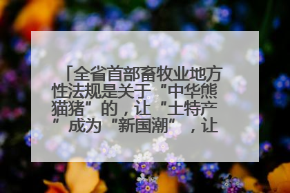 全省首部畜牧业地方性法规是关于“中华熊猫猪”的，让“土特产”成为“新国潮”，让“农产品”升格为“城市IP”