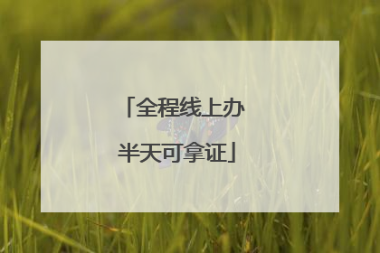 全程线上办 半天可拿证
