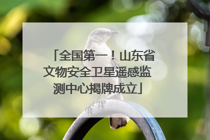 全国第一！山东省文物安全卫星遥感监测中心揭牌成立