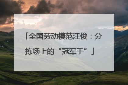 全国劳动模范汪俊：分拣场上的“冠军手”