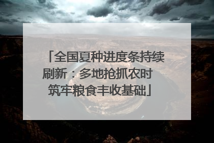 全国夏种进度条持续刷新：多地抢抓农时 筑牢粮食丰收基础