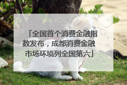 全国首个消费金融指数发布，成都消费金融市场环境列全国第六