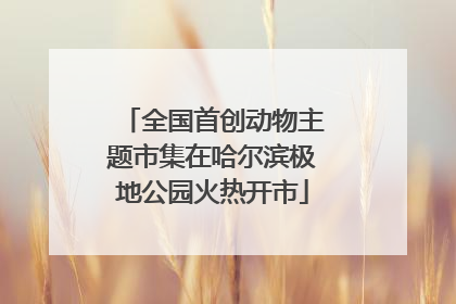 全国首创动物主题市集在哈尔滨极地公园火热开市