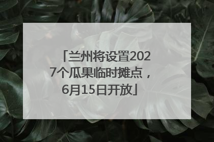 兰州将设置2027个瓜果临时摊点，6月15日开放
