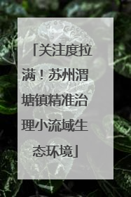 关注度拉满！苏州渭塘镇精准治理小流域生态环境