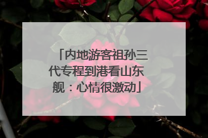 内地游客祖孙三代专程到港看山东舰：心情很激动