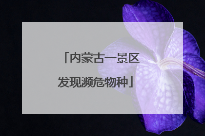内蒙古一景区发现濒危物种