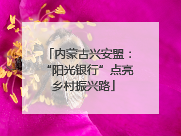 内蒙古兴安盟：“阳光银行”点亮乡村振兴路