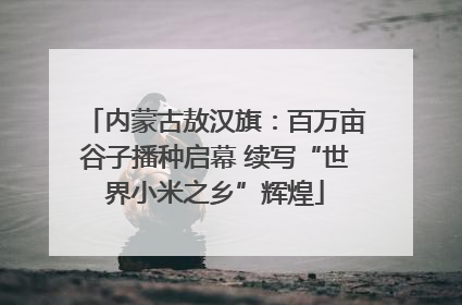 内蒙古敖汉旗：百万亩谷子播种启幕 续写“世界小米之乡”辉煌