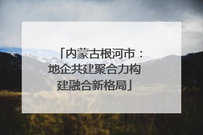 内蒙古根河市：地企共建聚合力构建融合新格局
