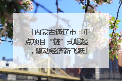内蒙古通辽市：重点项目“链”式崛起，驱动经济新飞跃