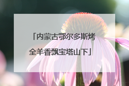 内蒙古鄂尔多斯烤全羊香飘宝塔山下