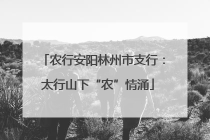农行安阳林州市支行：太行山下“农”情涌