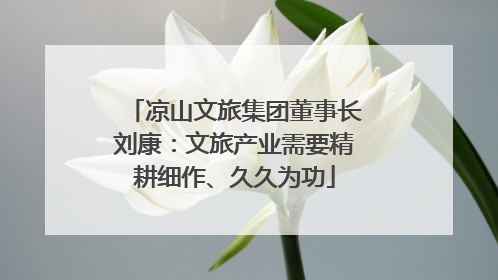 凉山文旅集团董事长刘康：文旅产业需要精耕细作、久久为功