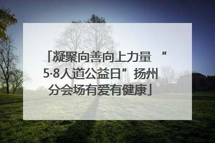 凝聚向善向上力量 “5·8人道公益日”扬州分会场有爱有健康