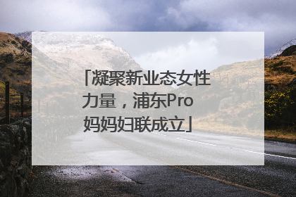 凝聚新业态女性力量，浦东Pro妈妈妇联成立