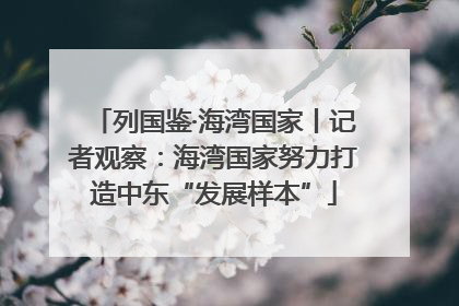 列国鉴·海湾国家丨记者观察：海湾国家努力打造中东“发展样本”