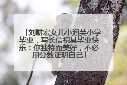 刘畊宏女儿小泡芙小学毕业，写长信祝其毕业快乐：你独特而美好，不必用分数证明自己