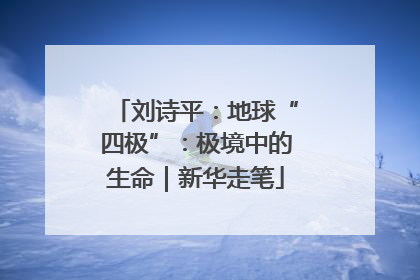 刘诗平：地球“四极”：极境中的生命｜新华走笔