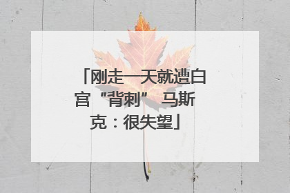 刚走一天就遭白宫“背刺” 马斯克：很失望