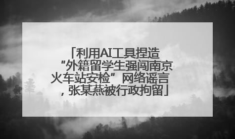 利用AI工具捏造 “外籍留学生强闯南京火车站安检”网络谣言，张某燕被行政拘留