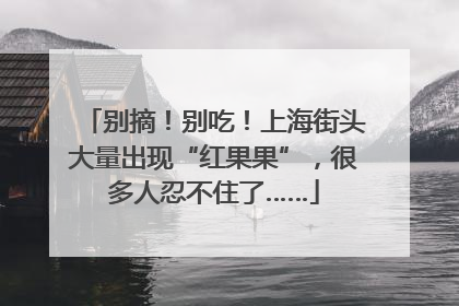 别摘！别吃！上海街头大量出现“红果果”，很多人忍不住了……