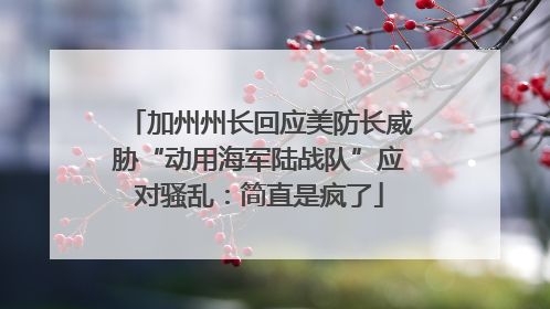 加州州长回应美防长威胁“动用海军陆战队”应对骚乱：简直是疯了